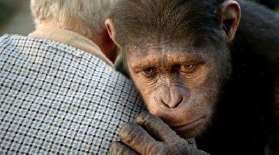 PLANETE DES SINGES : LES ORIGINES - LA | RISE OF THE PLANET OF THE APES | 2011