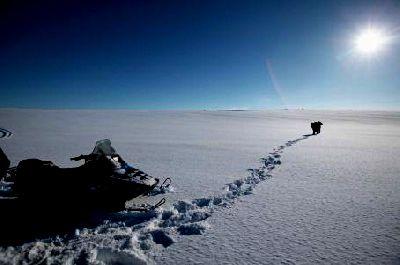 LAST WINTER - THE | LAST WINTER - THE | 2006