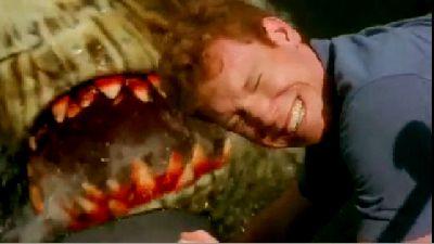 KILLER SHARK | SWAMP SHARK | 2011