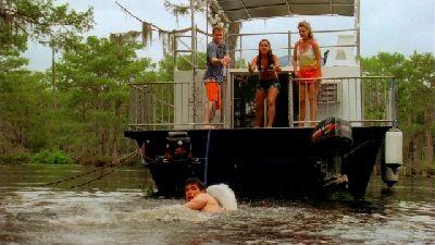 KILLER SHARK | SWAMP SHARK | 2011