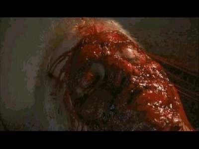 WISHMASTER 3 | WISHMASTER 3 | 2001