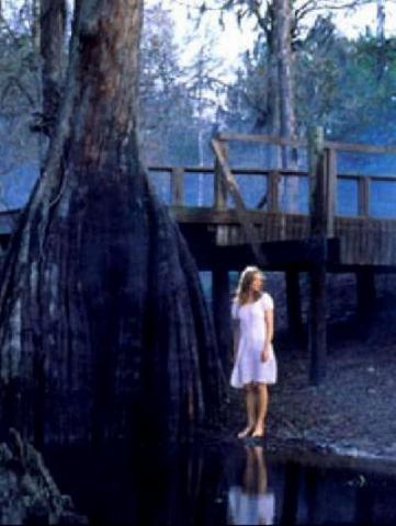 INTUITIONS | GIFT - THE | 2000