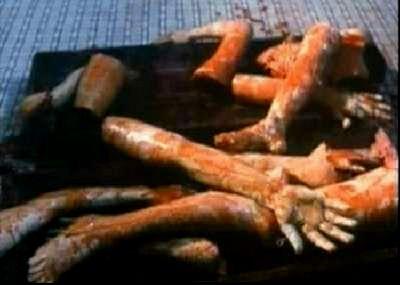 UNTOLD STORY - THE | THE UNTOLD STORY | 1992