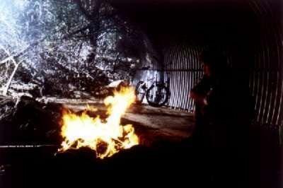 UN ELEVE DOUE | APT PUPIL | 1998