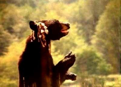WHEN NATURE CALLS | WHEN NATURE CALLS...YOU'VE GOTTA GO ! | 1985