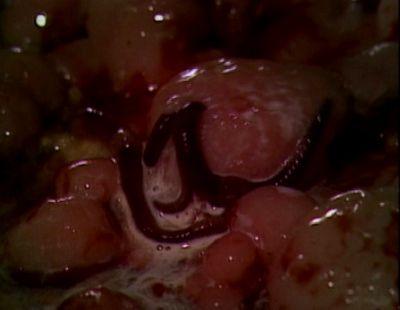 GUINEA PIG 4 : MERMAID IN A MANHOLE | ZA GINIPIGGU 4 : MANHORU NO NAKA NO NINGYO | 1988
