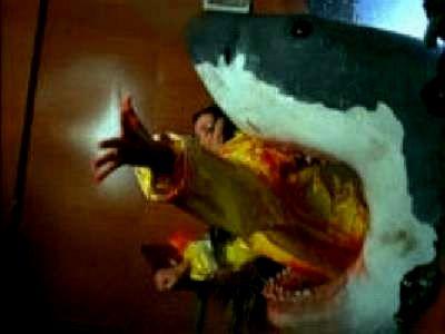 MORT AU LARGE | SHARK ZONE | 2003
