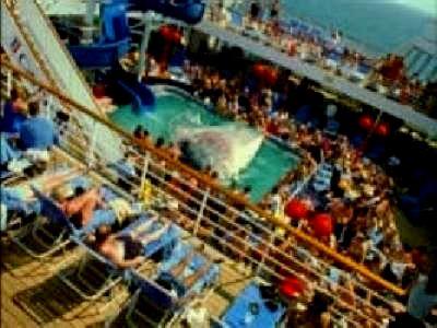 MORT AU LARGE | SHARK ZONE | 2003