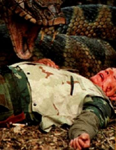 KING COBRA | KING COBRA | 1999