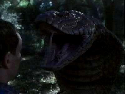 KING COBRA | KING COBRA | 1999