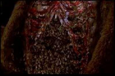 CANDYMAN | CANDYMAN | 1992