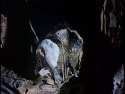 JARDIN DES MORTS - LE | GARDEN OF THE DEAD | 1974