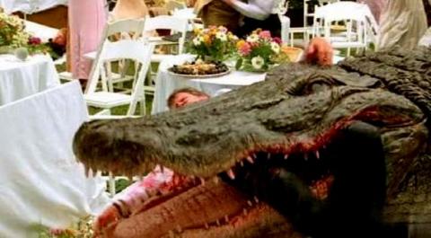 INCROYABLE ALLIGATOR - L | ALLIGATOR | 1980
