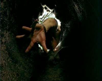 ARACHNID | ARACHNID | 2001
