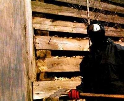 SHREDDER | SHREDDER | 2003