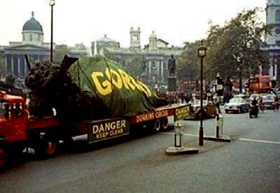 GORGO | GORGO | 1961