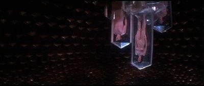 LIFEFORCE | LIFEFORCE | 1985