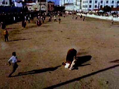 MONDO CANE | MONDO CANE | 1962