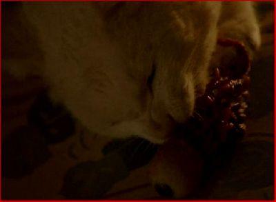 MAIN QUI TUE - LA | IDLE HANDS | 1999