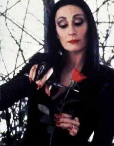 FAMILLE ADDAMS - LA | ADDAMS FAMILY - THE | 1991