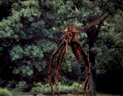 MOSQUITO | MOSQUITO | 1995