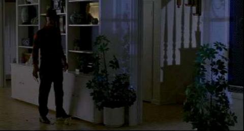 REVANCHE DE FREDDY - LA | A NIGHTMARE ON ELM STREET 2 - FREDDY'S REVENGE | 1985