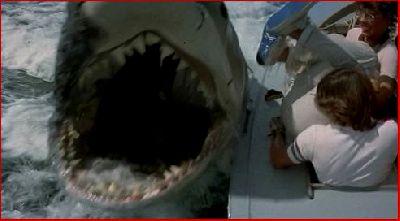 DENTS DE LA MER 2 - LES | JAWS 2 | 1978