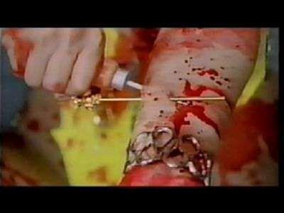 NAKED BLOOD | MEGYAKU: AKUMA NO YOROKOBI | 1995