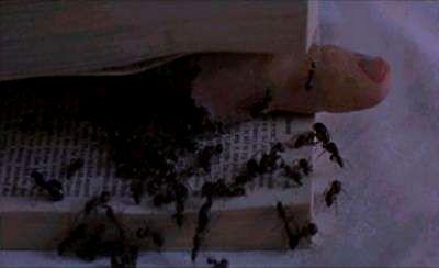 COPYCAT | COPYCAT | 1995