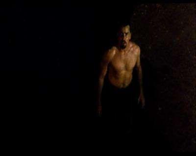 ARRIVAL - THE | ARRIVAL - THE | 1996