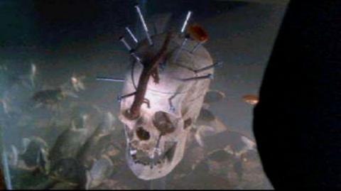 ENVOUTES- LES | THE BELIEVERS | 1987