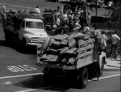 INVASION DES PROFANATEURS DE SEPULTURES - L | INVASION OF THE BODY SNATCHERS | 1956