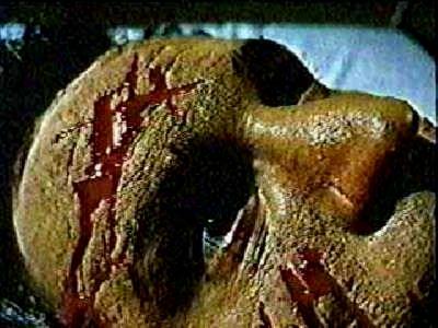 PIGS LES MONSTRES SANGLANTS | DADDY'S DEADLY DARLING | 1972