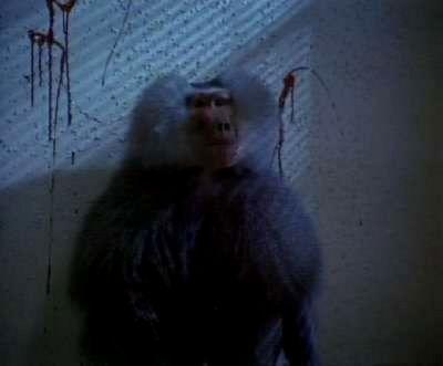 SHAKMA | SHAKMA | 1990