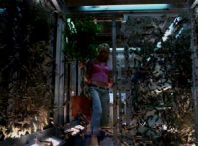 LOCUSTS | LOCUSTS | 2005