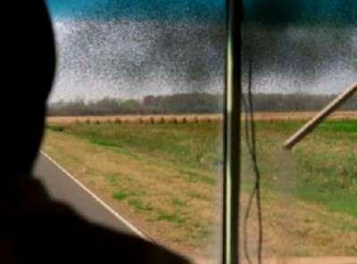 LOCUSTS | LOCUSTS | 2005