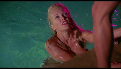 Point of terror | Point of terror | 1971