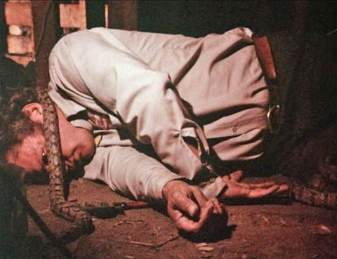 Reptiles : les serpents attaquent | Rattlers | 1976