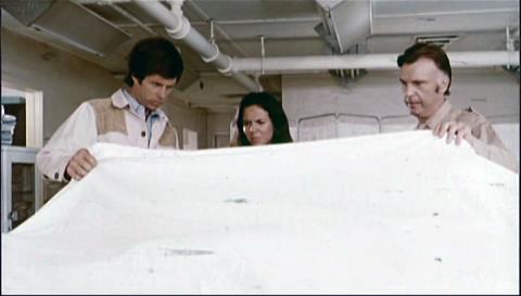 Reptiles : les serpents attaquent | Rattlers | 1976