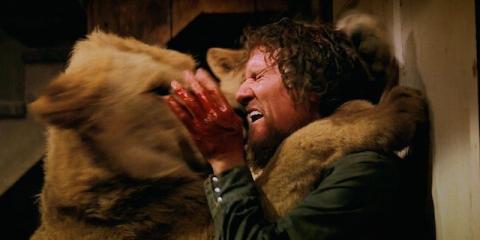 ROAR | ROAR | 1981