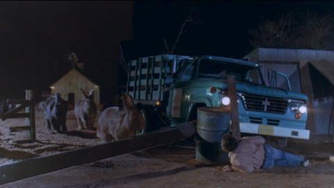RONGEURS DE L'APOCALYPSE - LES | NIGHT OF THE LEPUS | 1972