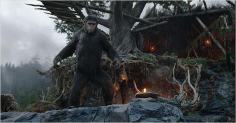 PLANETE DES SINGES : L'AFFRONTEMENT - LA | DAWN OF THE PLANET OF THE APES | 2014