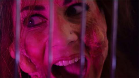 TASTE OF PHOBIA - A | TASTE OF PHOBIA - A | 2018