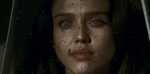 EYE 2008 - THE | EYE 2008 - THE | 2008