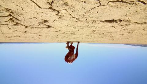 OUTWATERS - THE | OUTWATERS - THE | 2023