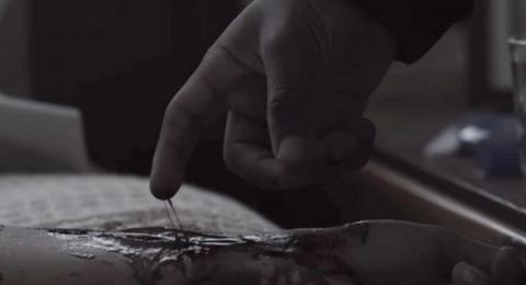 TRANSFIGURATION | TRANSFIGURATION - THE | 2016