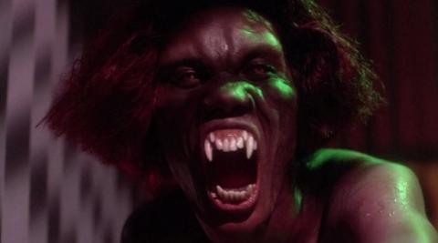 VAMP | VAMP | 1986
