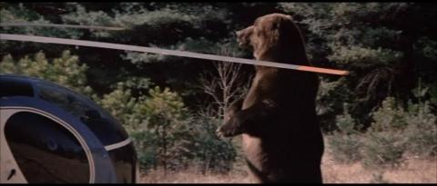 GRIZZLY LE MONSTRE DE LA FORET | GRIZZLY | 1976