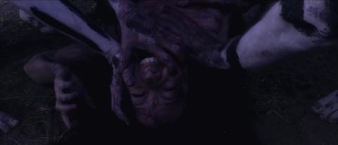 BLOOD FOR FLESH | SANGRE PARA LA CARNE | 2019