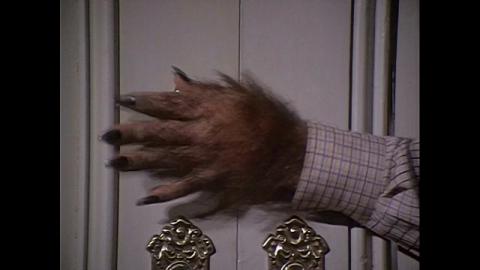 LOUP DE LA NUIT - LE | MOON OF THE WOLF | 1972